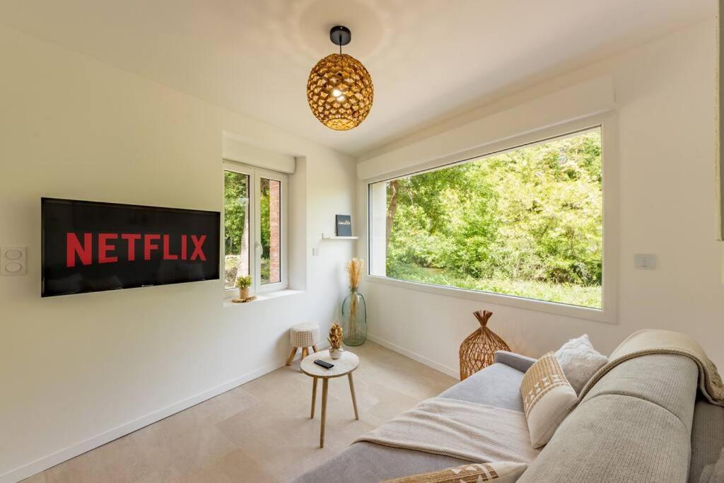 Le Rivera - Clim - Parking - Netflix - Nestor & Margot Auterive  Exteriér fotografie